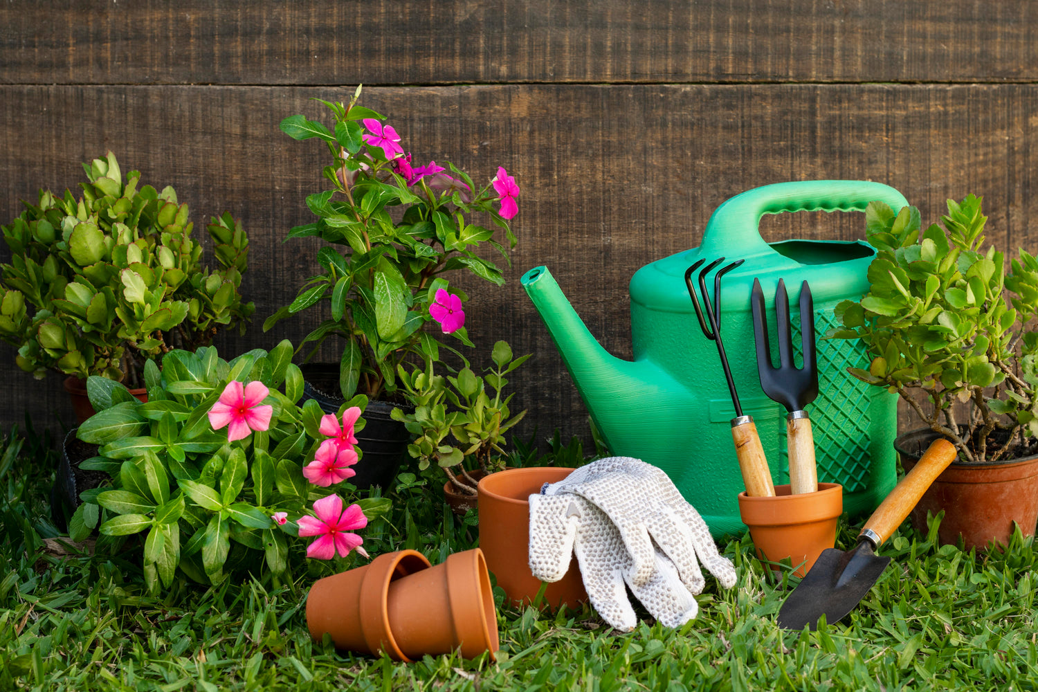 Gardening & Outdoors